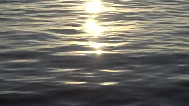 夕日の海でリップル — ストック動画