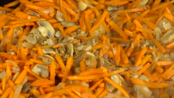 Préparation Champignons Champignons Aux Oignons Carottes Casserole Fonte — Video