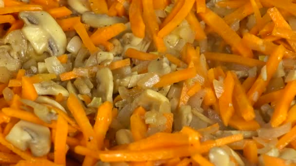 Zubereitung Von Champignons Mit Zwiebeln Und Karotten Gusseiserne Pfanne — Stockvideo
