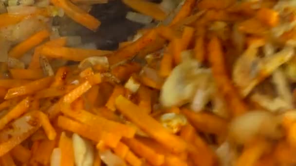 Préparation Champignons Champignons Aux Oignons Carottes Casserole Fonte — Video