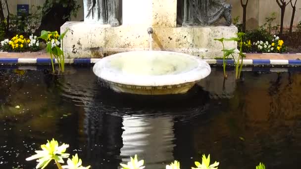 Fontaine Dans Cour Maison Musée Sorolla — Video