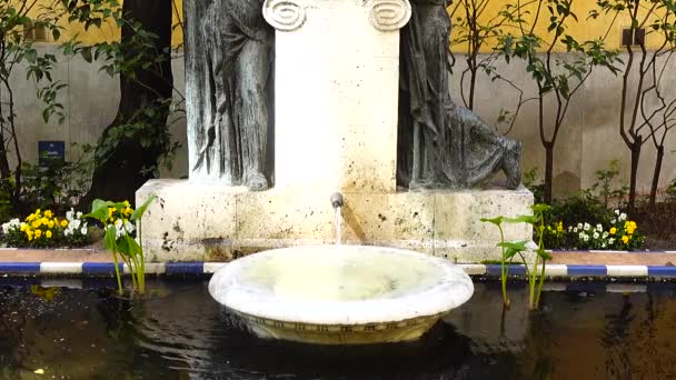 Fontana Nel Cortile Della Casa Museo Sorolla — Video Stock