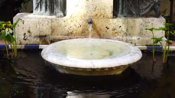 Fontana Nel Cortile Della Casa Museo Sorolla — Video Stock