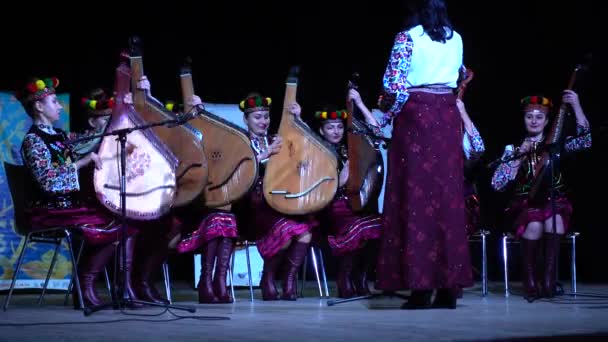 Lviv Ucrania Noviembre 2019 Lviv Bandur Fest 2019 Actuaciones Bandas — Vídeo de stock