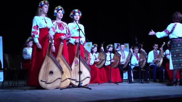 Lviv Ukraine November 2019 Lviv Bandur Fest 2019 用管弦乐队演奏的民谣乐队 — 图库视频影像