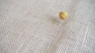 Badem, fındık, fındık, Brezilya fındığı ve fındık. Çuvala düşerken ateş etmek. Yavaş çekim.