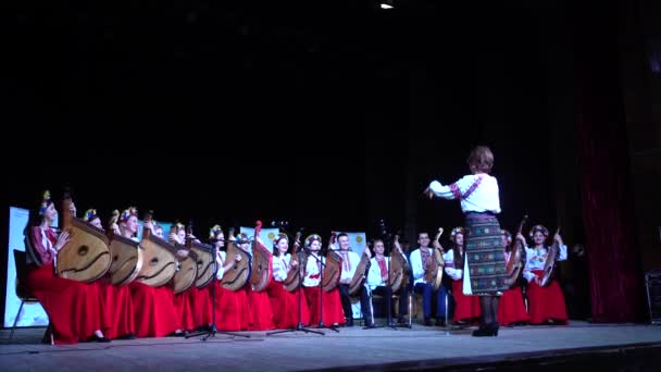 Lviv Ukraina November 2019 Lviv Bandur Fest 2019 Folkbandens Framträdanden — Stockvideo