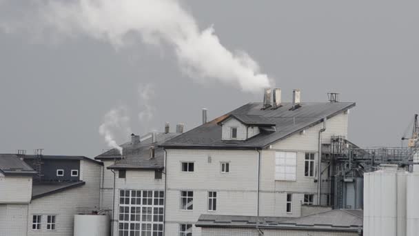 天空中的蒸汽 — 图库视频影像