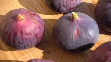 İncir böğürtlen. Hareket halinde çekim.