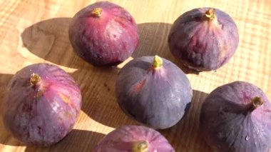 İncir böğürtlen. Hareket halinde çekim.