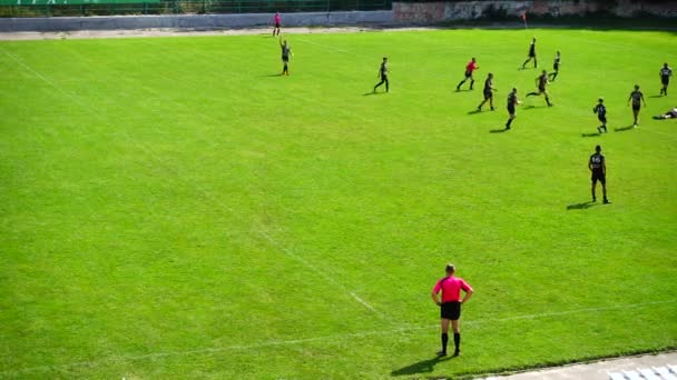 Lviv Ukraine September 2019 Playing Rugby — стокове відео