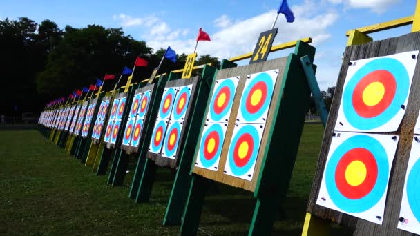 Objetivos Para Tiro Con Arco Tiro Verano — Vídeos de Stock