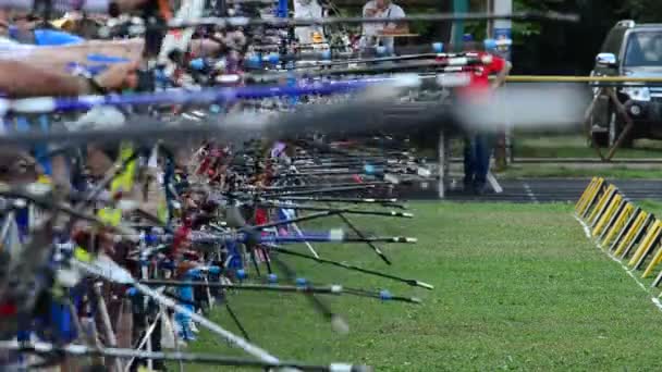 Archers Aim Shoot Targets — Stock Video