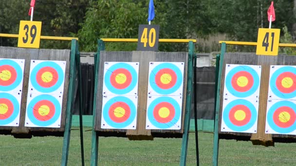 Objetivos Para Tiro Con Arco Tiro Verano — Vídeos de Stock