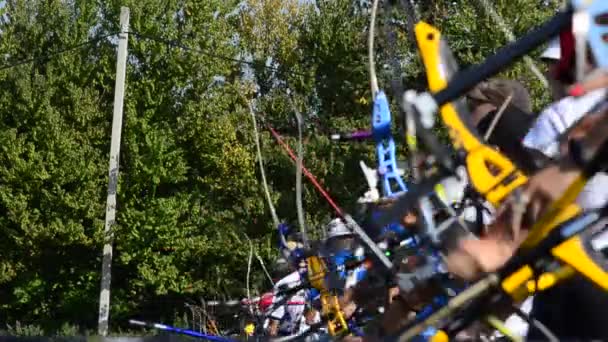 Les Archers Visent Tirent Sur Des Cibles — Video