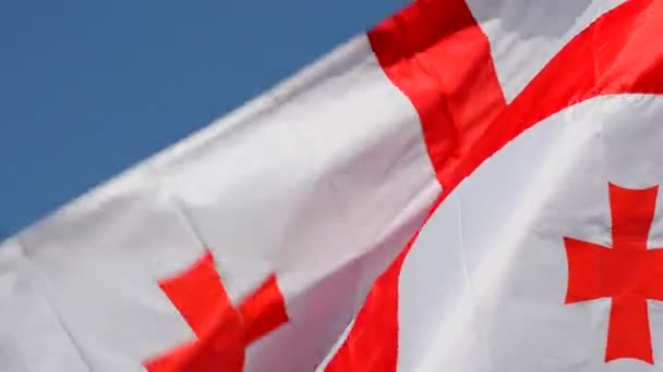 Georgia Flag Waving Wind — Stock Video