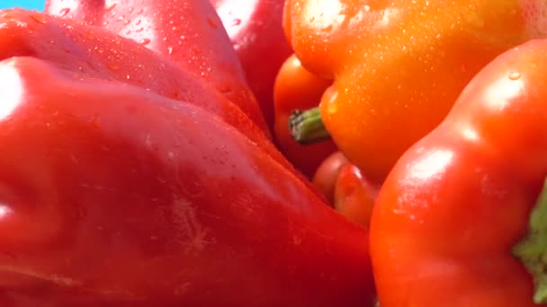 Söt Röd Paprika Fotografering Rörelsen — Stockvideo