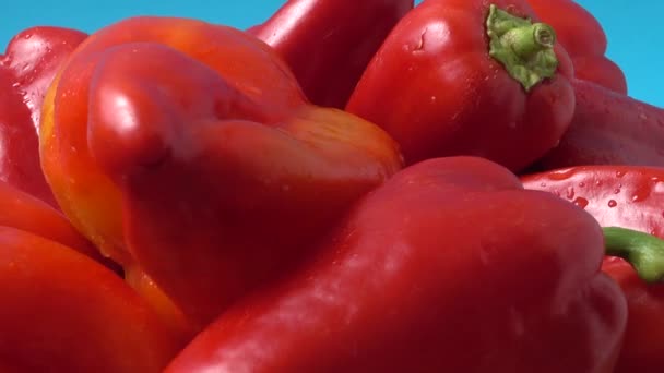 Sweet Red Pepper Shooting Movement — Stock Video