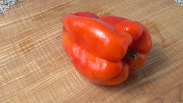 Sweet Red Pepper Shooting Movement — Stock Video