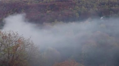 Odunların üzerinde tüttür. Zaman aşımı.