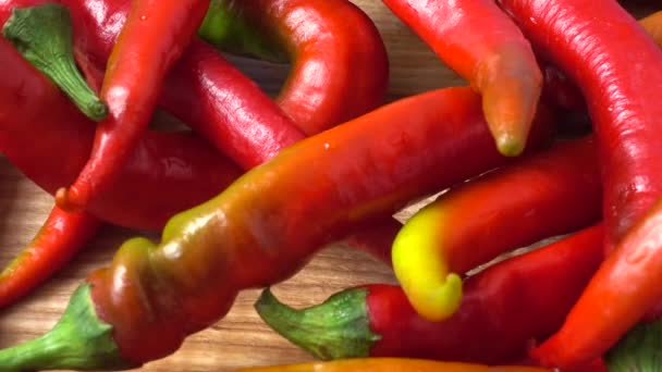 Rote Chilischote Pfeffer Schießen Der Bewegung — Stockvideo