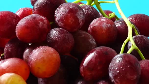 Uvas Disparos Movimiento — Vídeo de stock