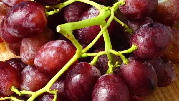 Druiven Schieten Beweging — Stockvideo