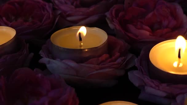 Roses Candles Black Background — Stock Video