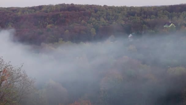 Dym Nad Drewnem Czas Upływa — Wideo stockowe