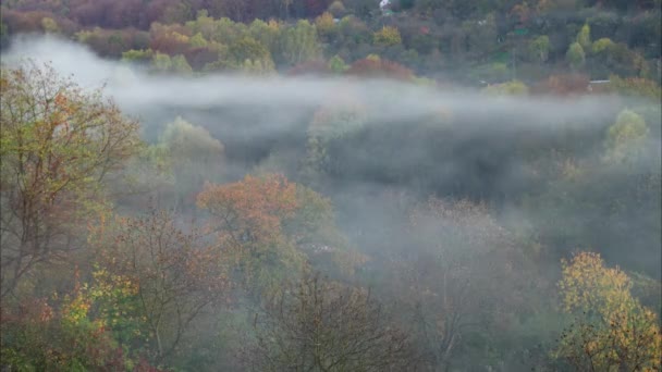 Fuma Sobre Madera Caducidad — Vídeos de Stock