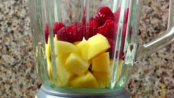 Vullen Blender Van Appels Frambozen Bananen Bereiding Van Smoothie Blender — Stockvideo