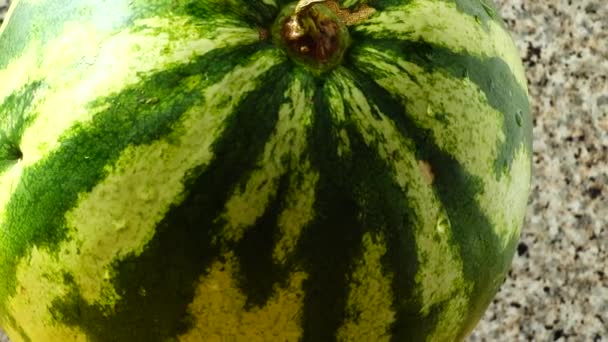Wassermelone Auf Einem Küchentisch Schießen Der Bewegung — Stockvideo