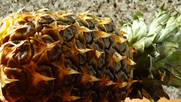 Ananas Tirant Dans Mouvement Aliments Sains — Video