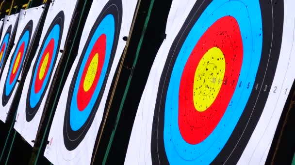 Targets Archery Shooting Summer — Stock Video