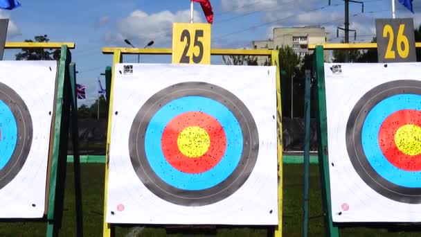 Targets Archery Shooting Summer — Stock Video