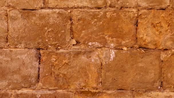 石の壁だ 撮影の背景 — ストック動画