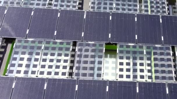 建物の壁に太陽光パネル — ストック動画