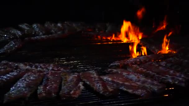 Costillas Cerdo Asadas Fuego Barbacoa Movimiento Lento — Vídeos de Stock