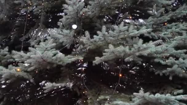 Weihnachtsbaum Mit Girlanden Dreharbeiten Winter — Stockvideo