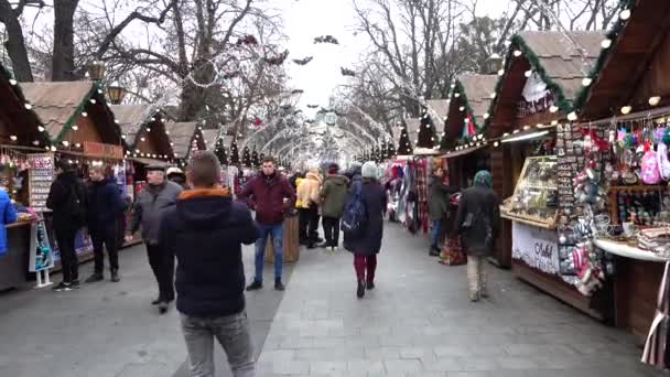 Liviv ウクライナ 2019年12月21日 市内広場のクリスマスマーケット — ストック動画