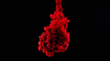 Soyut formlar. Siyah arka planda çekim yapmak. Boyaların karıştırılması.