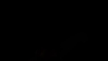 Mandalina düşüyor. Yavaş çekim.