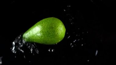 Avokadonun siyah arka plana düşmesi. Yavaş çekim.