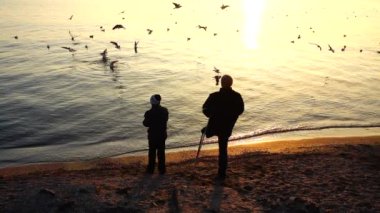 Engelli kişi deniz martılarını besler. Yavaş çekim.