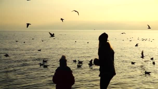 人们在海滨喂海鸥 慢动作 — 图库视频影像