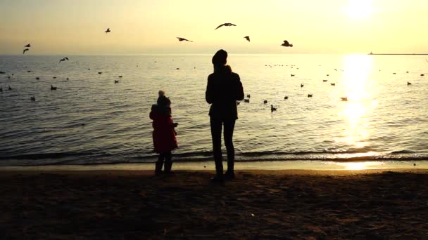 Gente Alimenta Gaviotas Orilla Del Mar Movimiento Lento — Vídeos de Stock