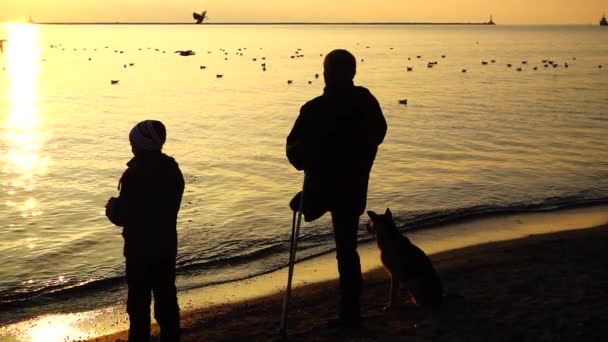 Άτομο Ειδικές Ανάγκες Ταΐζει Γλάρους Αργή Κίνηση — Αρχείο Βίντεο