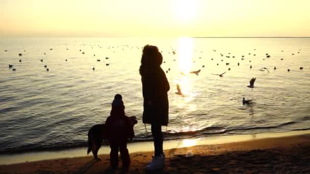 Matka Dítě Pláži Paprscích Zapadajícího Slunce Zpomalený Pohyb — Stock video