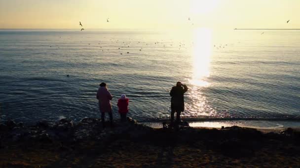 人们在海滨喂海鸥 慢动作 — 图库视频影像