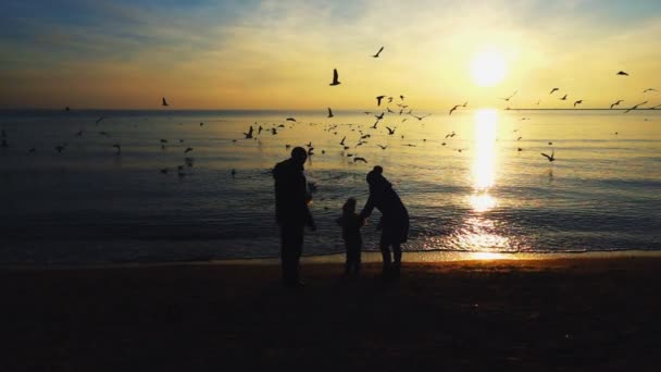 Folk Matar Fiskmåsar Stranden Långsamma Rörelser — Stockvideo